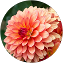 Maddy S. profile picture